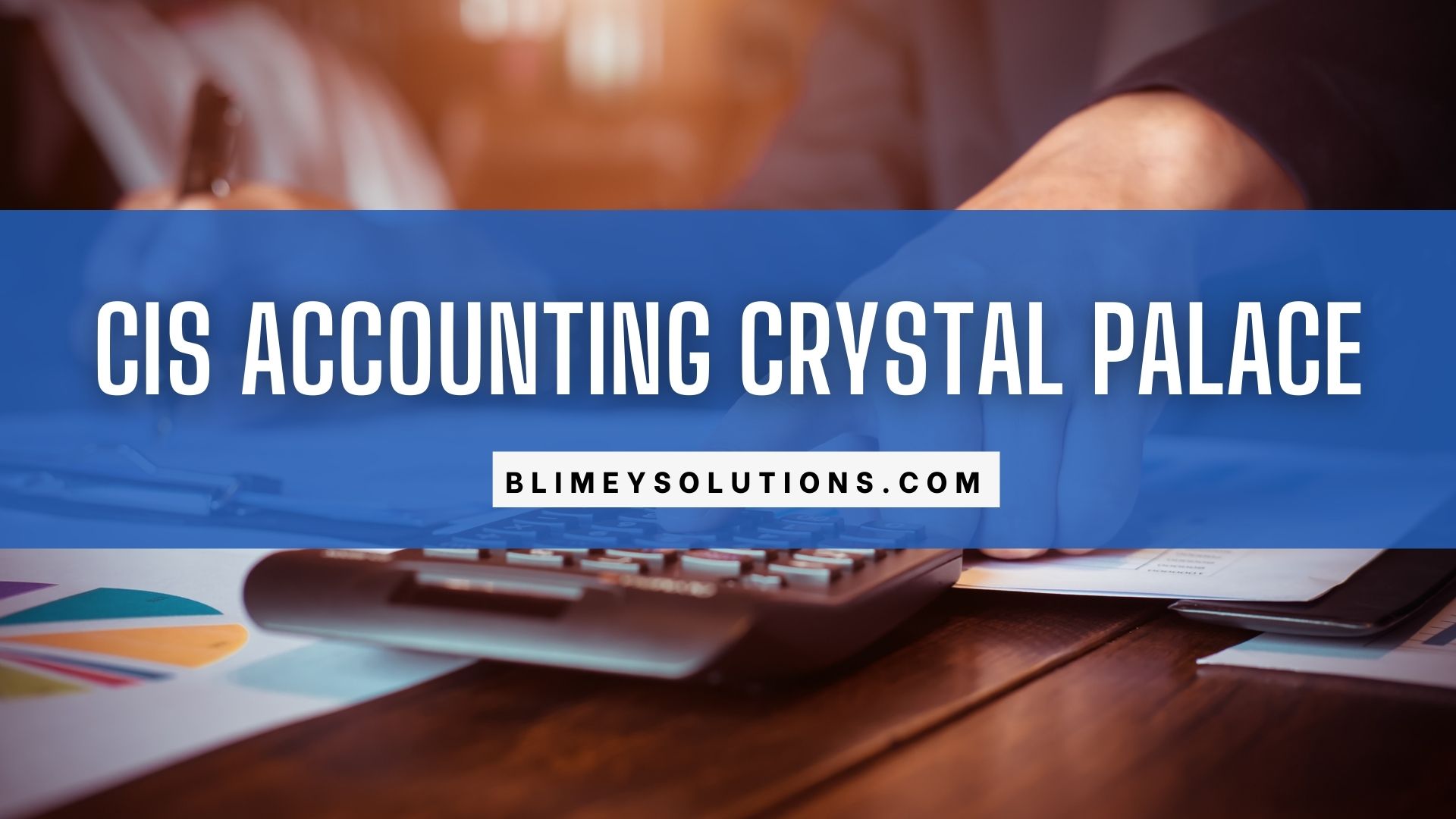 CIS Accounting in Crystal Palace SE19 London